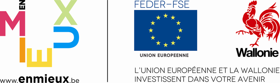 logo FEDER FSE+WAL