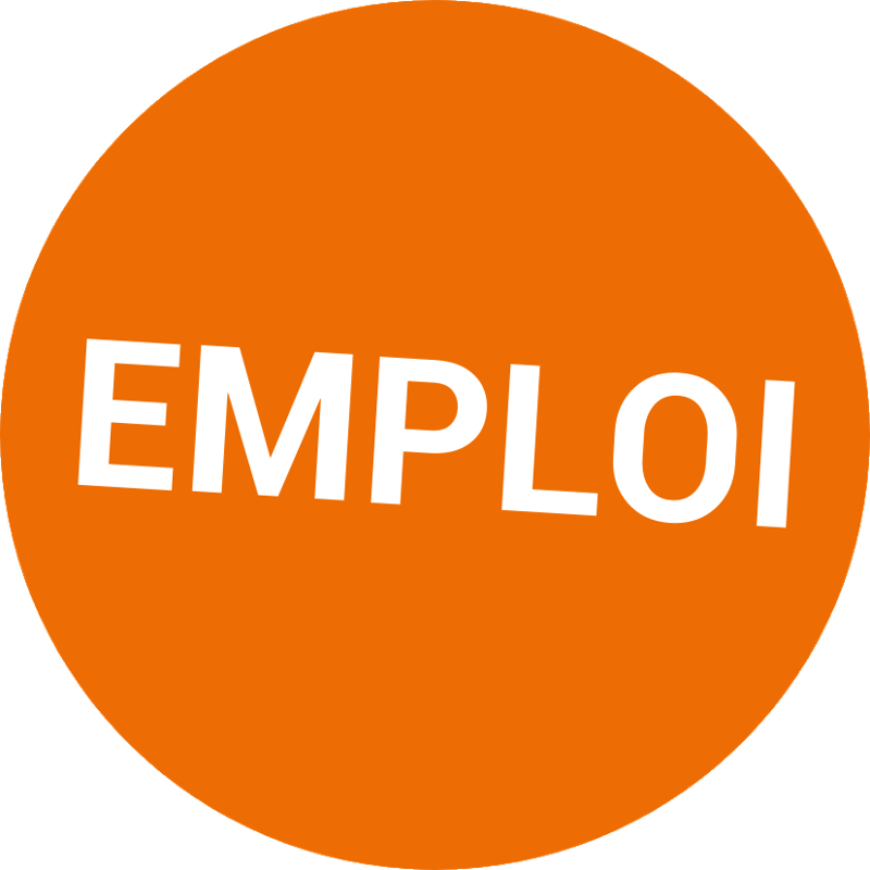 Picto emploi PNG